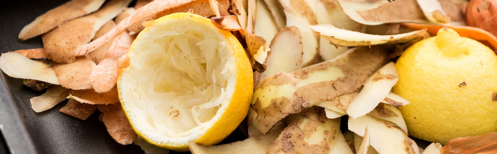 A collection of different types of food waste